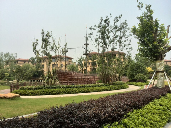 首页|k1体育十年品牌值得信任