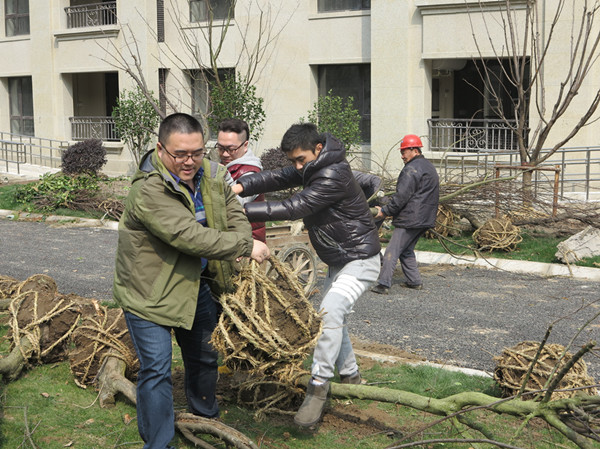 首页|k1体育十年品牌值得信任