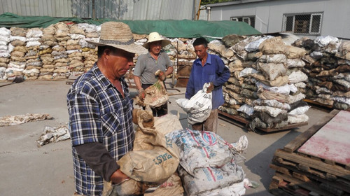 首页|k1体育十年品牌值得信任