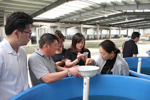 首页|k1体育十年品牌值得信任