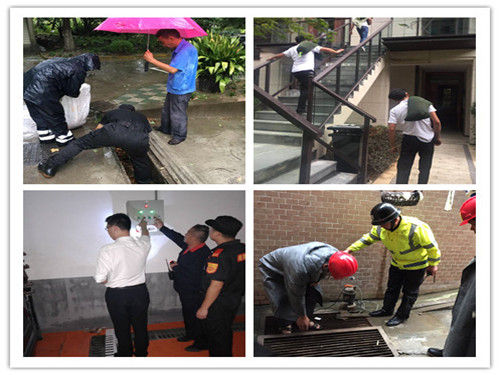 首页|k1体育十年品牌值得信任