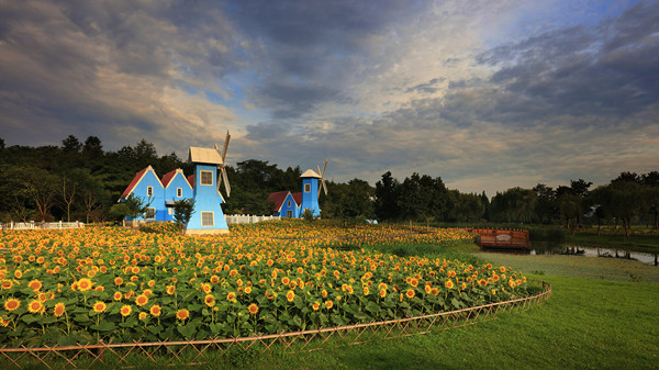 首页|k1体育十年品牌值得信任