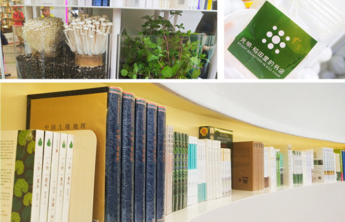 首页|k1体育十年品牌值得信任