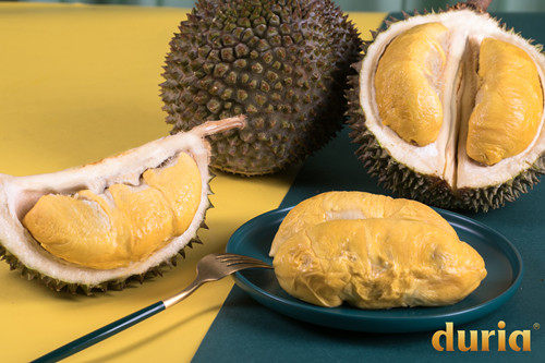 首页|k1体育十年品牌值得信任