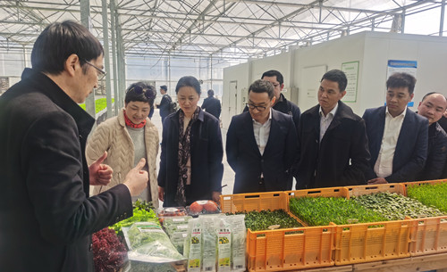 首页|k1体育十年品牌值得信任