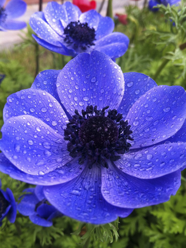 20120626103240459905