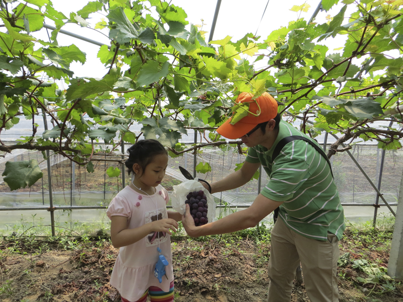 20120816090755597317