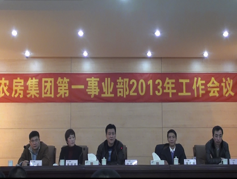 20130201125430293452