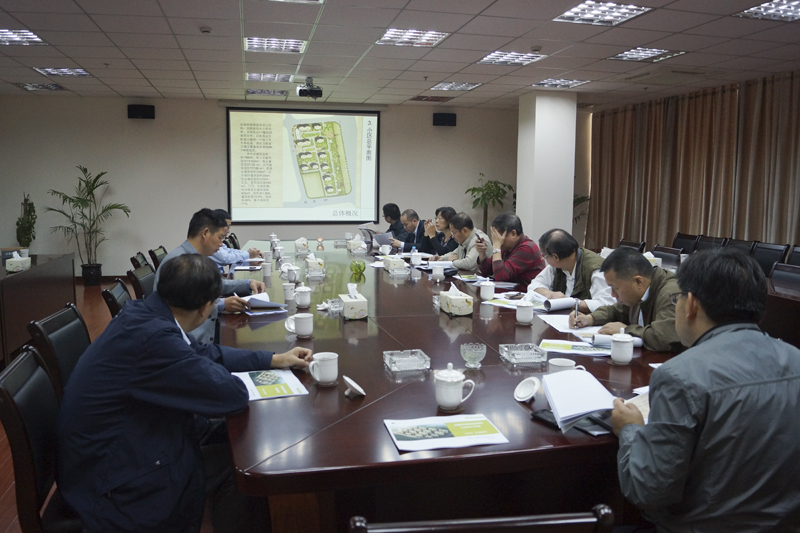 20131106100435328248