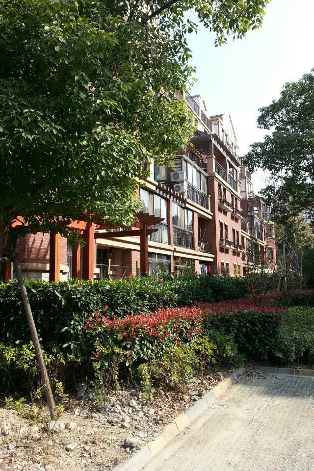 20131125124640349745