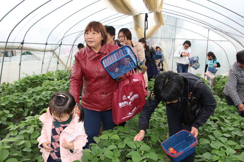 20140506093031200535