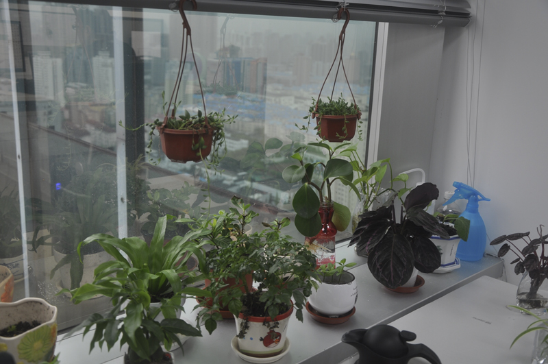 20140605104305298031