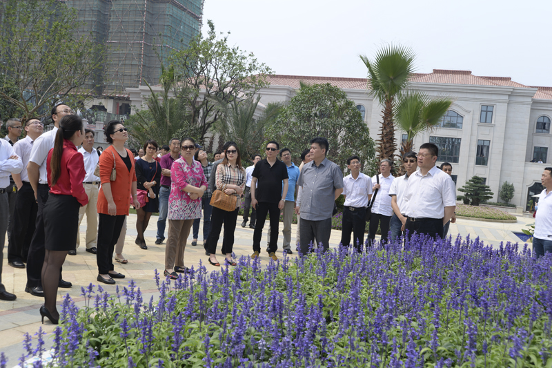 20140610112639517825