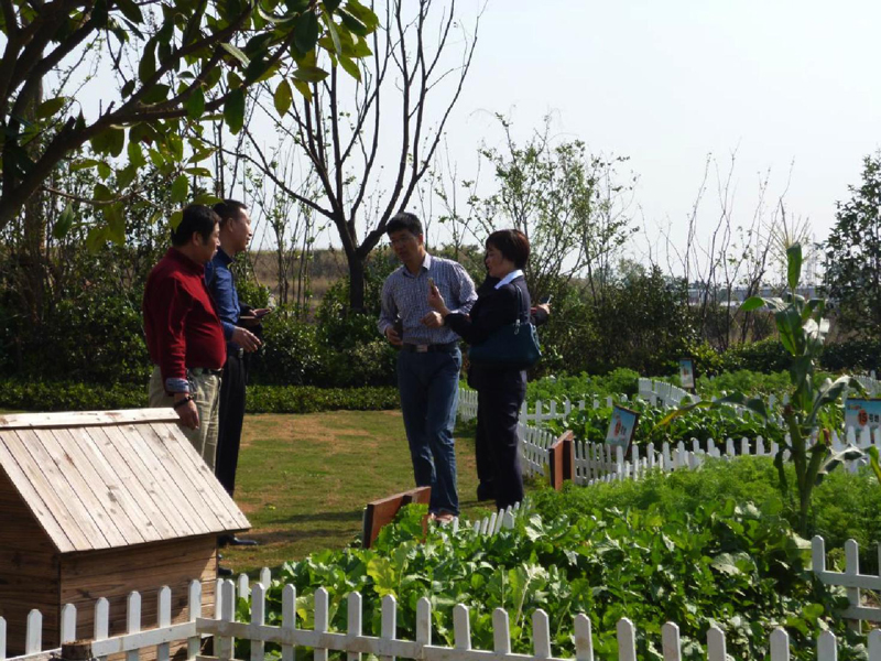 20141030113445473727