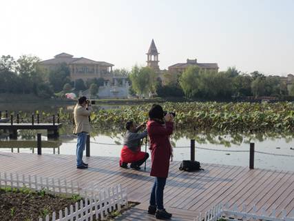 20141119093016470002