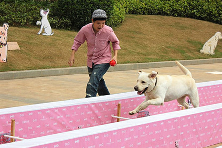 首页|k1体育十年品牌值得信任