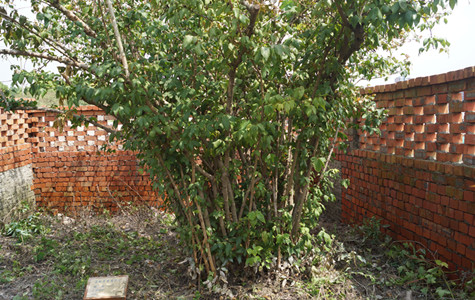 首页|k1体育十年品牌值得信任