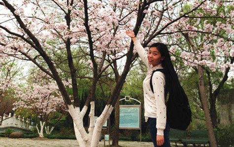 首页|k1体育十年品牌值得信任