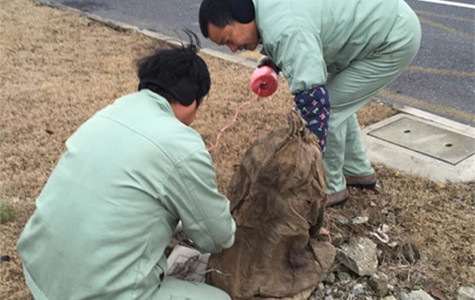 首页|k1体育十年品牌值得信任