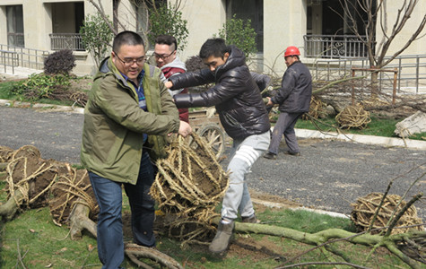 首页|k1体育十年品牌值得信任