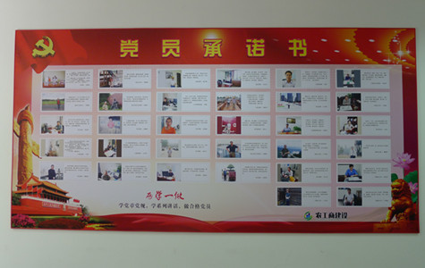 首页|k1体育十年品牌值得信任