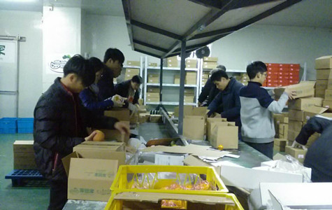 首页|k1体育十年品牌值得信任