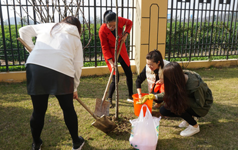 首页|k1体育十年品牌值得信任
