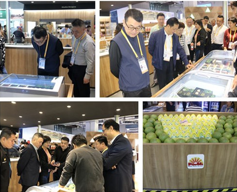 首页|k1体育十年品牌值得信任