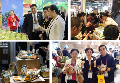 首页|k1体育十年品牌值得信任