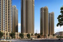 215X1452015020244916