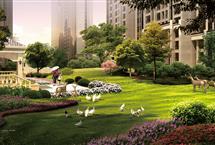 215X1452015020252333