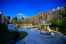 215X14520150203113957