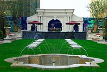 215X1452015020352941