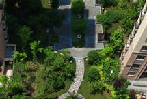 215X1452015020455429