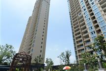 215X1452015050445641