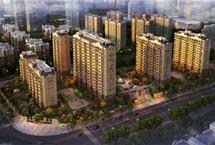 215X14520170420101259