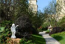 215X14520170420101744